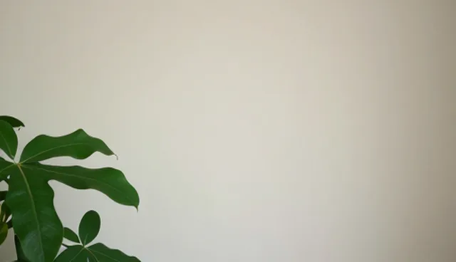 营销网站设计公司如何选择适合的建设方案