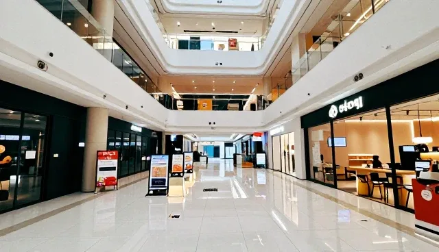万网主机性能优化,如何提升电商运营效率