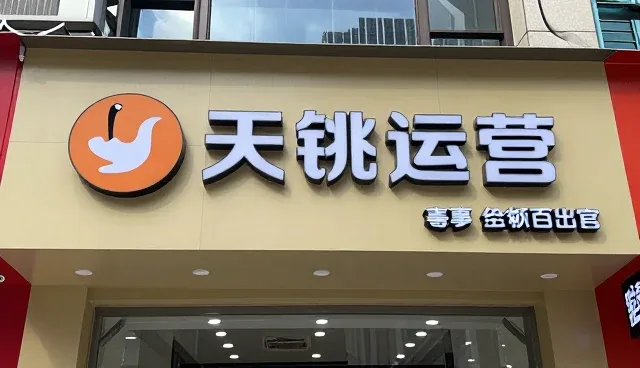 公司网在电商运营中注重成本控制的适用情况与限制